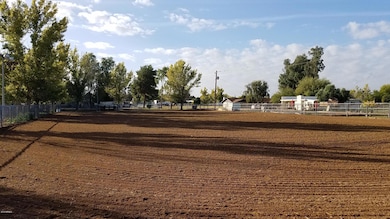 Barbarita Arena