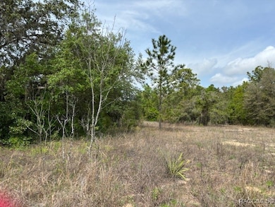 5831 W Dunnellon Rd, Dunnellon, FL 34433 - photo 3