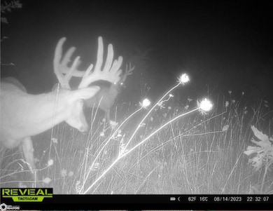 00 Tulip Ave, Floris, IA 52560 - photo 3