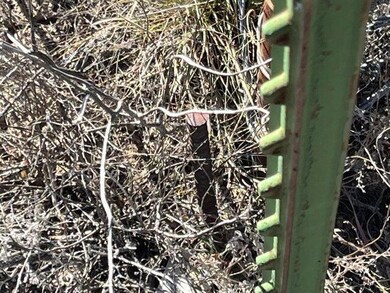 004. SE Corner Marker