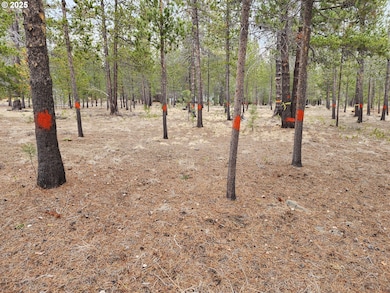 57626 Cultus Ln, Sunriver, OR 97707 - photo 6