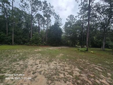 281 NE 817th St, Old Town, FL 32680 - photo 7