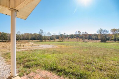 393 Mike Ln, Poplar Bluff, MO 63901 - photo 5