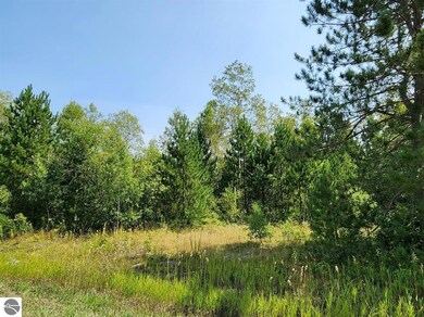 VL Snowridge Trail, Elmira, MI 49730 - photo 5