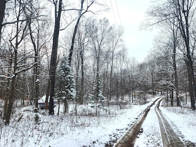 TBD Dogwood Acres Dr, Spice Valley Township, IN 47470 - photo 4