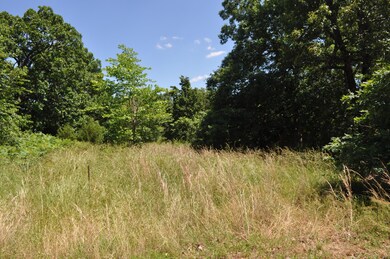 Tbd Farm Road 2085, Jenkins, MO 65605 - photo 5