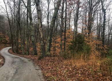 123 Harmon Rd, Somerset, KY 42501 - photo 6