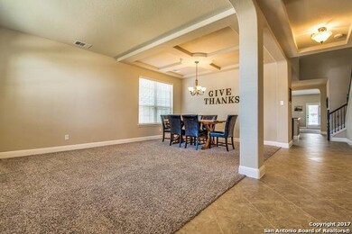 3802 Ox-Eye Daisy, San Antonio, TX 78261 - photo 6