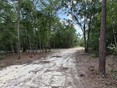 1482 Hebron Rd, Neeses, SC 29107 - photo 3