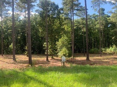 View from road