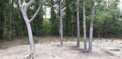 8745 Celia Rd, Tallahassee, FL 32305 - photo 5