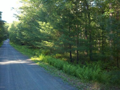 1253 Pennsylvania 590, Lackawaxen, PA 18435 - photo 4