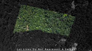 Tbd Brunk Spring Ln, Broadway, VA 22815 - photo 2