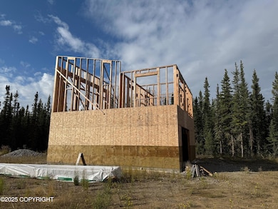 565 Chase Rd, Delta Junction, AK 99737 - photo 3