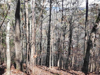 000 Hwy 9, Mountain View, AR 72560 - photo 3