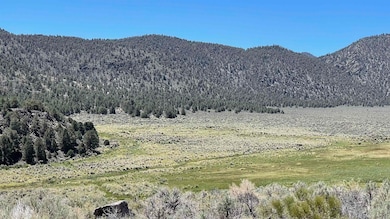 0 Benton Crossing Rd unit 5 250573, Benton, CA 93512 - photo 4