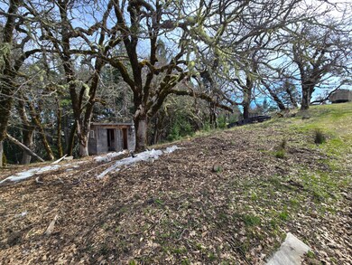 705 Bigfoot Path Rd, Kettenpom, CA 95595 - photo 5