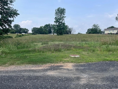 0 Blossom Loop, Clinton, AR 72031 - photo 4