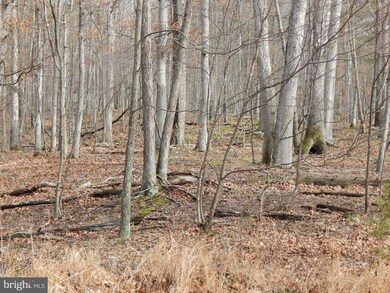 0 Circling Hawk Ln unit 1000168039, Berkeley Springs, WV 25411 - photo 7