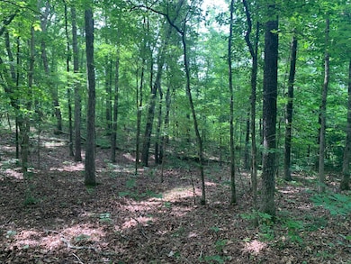 0 Candy Ln unit 10199196, Stantonville, TN 38379 - photo 2