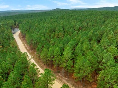 17 Hochacedar Trail, Broken Bow, OK 74728 - photo 3