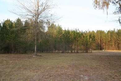 0 Sawtooth Ridge unit 810006, Callahan, FL 32011 - photo 5