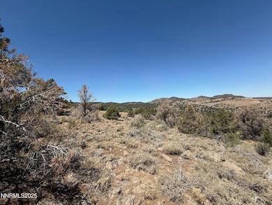 3960 Stovepipe Rd unit 396, Reno, NV 89521 - photo 2