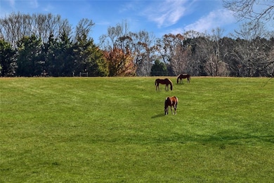 21 Willow Woods Rd, Social Circle, GA 30025 - photo 2