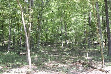 2008_0604Image0101