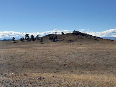 2424 Hwy 287, Tie Siding, WY 82070 - photo 3