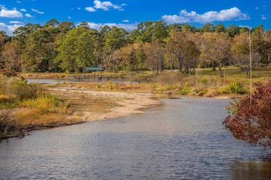 Shadywood Dr, Trinity, TX 75862 - photo 2