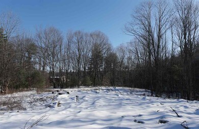 9 Wyman Ln unit 1, Strafford, NH 03884 - photo 5