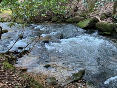 12.64 AC Harrison Sluder Rd, Ellijay, GA 30540 - photo 6