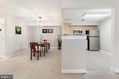 12253 Fairfield House Dr unit 405, Fairfax, VA 22033 - photo 7