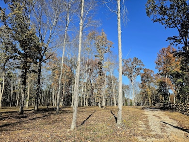 4821 Kedron Rd, Spring Hill, TN 37174 - photo 3