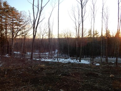 00 Tripptown, Hiram, ME 04041 - photo 4