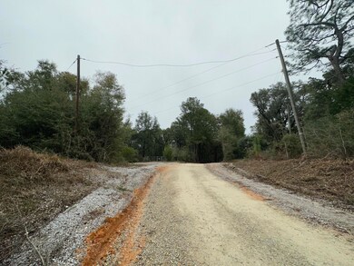 Tract#6418 Bryant Bay Rd, Caryville, FL 32427 - photo 2