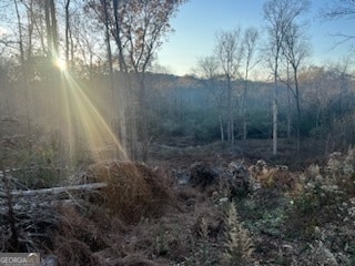 0 Mountain Creek Dr SE unit 10436191, Rome, GA 30161 - photo 6