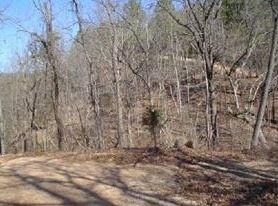 0 Menke Lanke Dr unit 1012498, Rogers, AR 72756 - photo 5