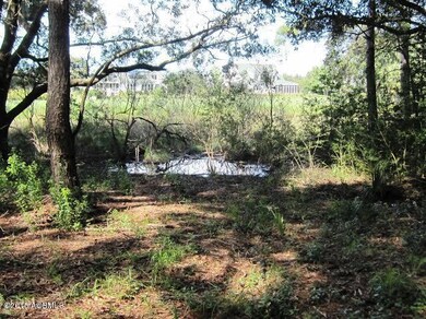 866 N Reeve Rd, Saint Helena Island, SC 29920 - photo 3
