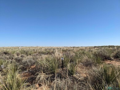0 Llauds Rd, Roswell, NM 88201 - photo 5