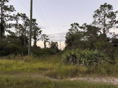 0 NE 17th Ave, Okeechobee, FL 34972 - photo 3