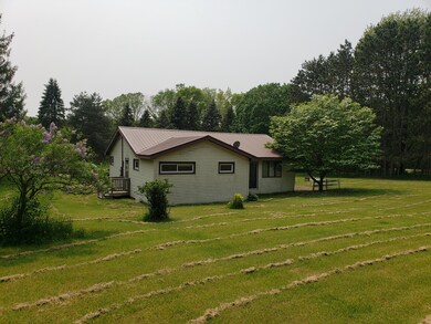 356 Homer St, Hubbardston, MI 48845 - photo 7