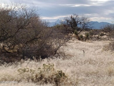 16040 Big Run Ave unit 316, Diamond Bell Ranch, AZ 85736 - photo 3