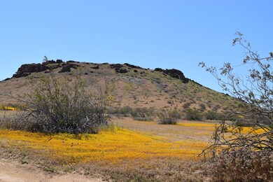 0 Ptn Se 1 4 Sec6 T9 R12 unit 19003914, Rosamond, CA 93560 - photo 3