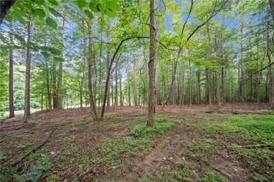 235 Brock Trail, Milton, GA 30004 - photo 7