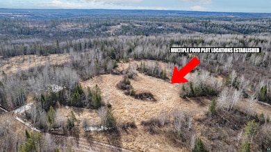 5xxx Deadham Rd, Oliver, WI 54880 - photo 5