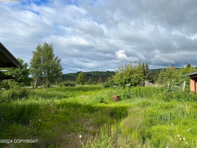 64985 Nikolaevsk Rd, Nikolaevsk, AK 99556 - photo 6