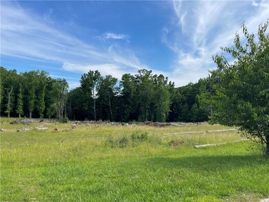 Tract 1 Porter Rd, Pendleton, SC 29670 - photo 3