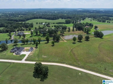 Lot 2 County Road 706, Cullman, AL 35055 - photo 4